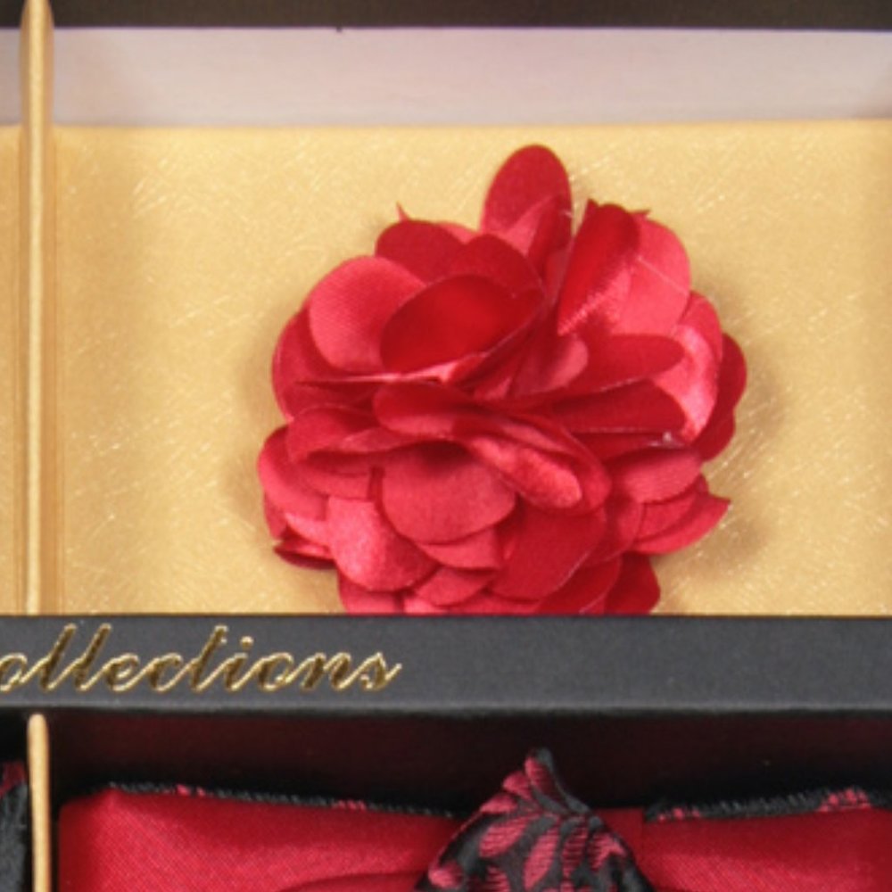 Daniel Ellissa Black Red Bow & Neck Tie 6 Set - Picture 5 of 6